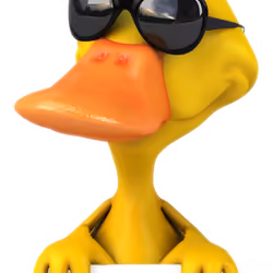 yeduck