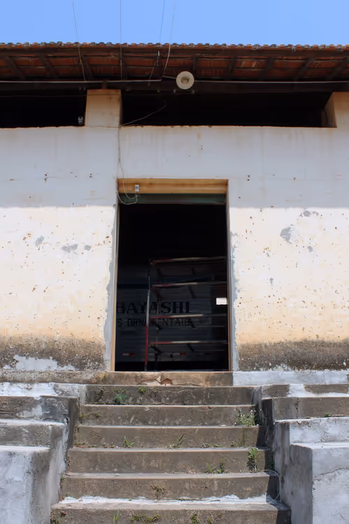 Item #28023026166759390679061689052984814586088125490502188211510750812855299211265 Media