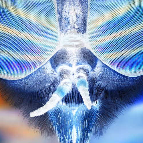 34706450278162979318667539787965118364630649928530058686286775300006931857409