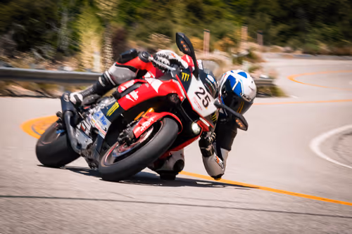 Item #27437682578888391608667975873032567693700109062678129404741446872788964999169 Media