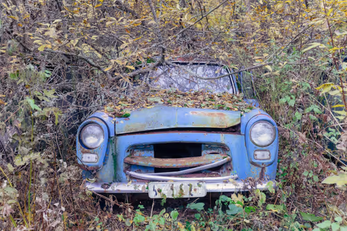 Item #48137969834760964202008615445069010109172114455099533143483873203728502751233 Media