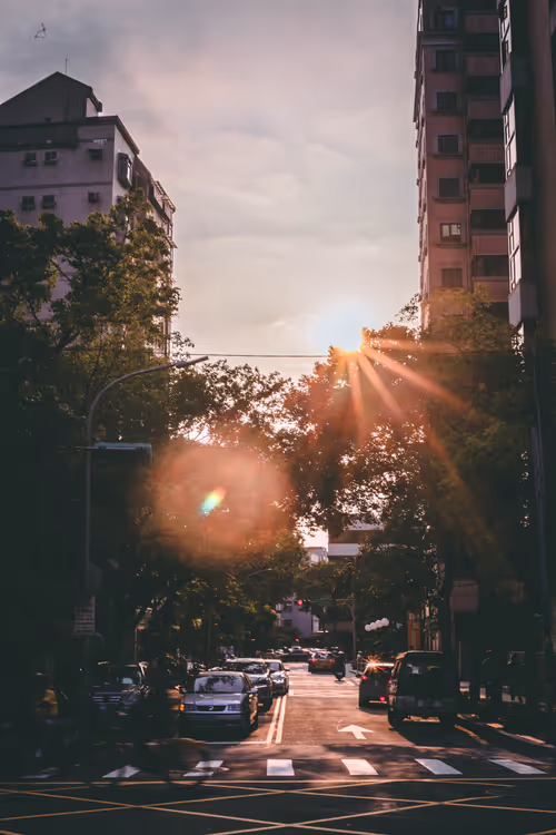 Item #1955808462375859957643046031357723895499971956545964229936624540483070197761 Media