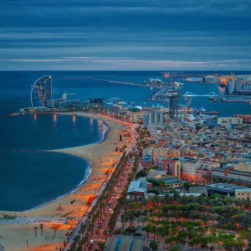 Item #96475701516811371815276227977766131962669887094423874457871336872918961356801 Media