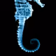 5541180257716613487607775748068519517975041335985604767375996056841524084737
