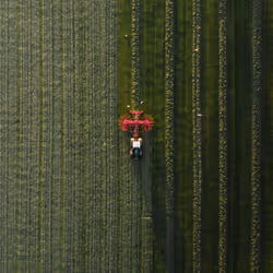 3461261320663593426900354360876375017663922749216533272399435645526585901057