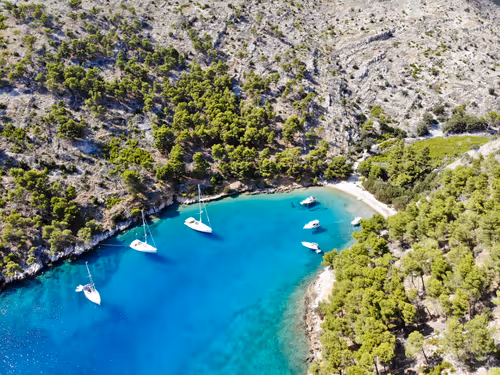 Item #85194694313482311992552065383091349733229460472009518407910609755236175183873 Media