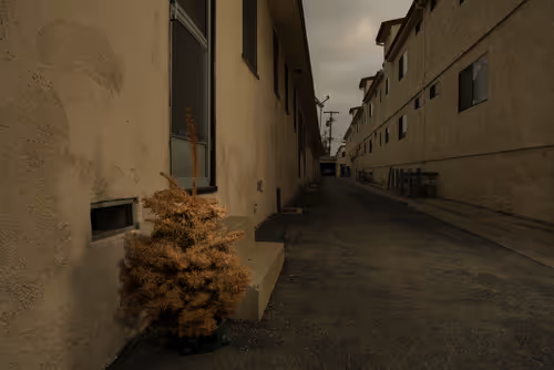 Item #97596376492587480991564299989885194485729582935183473269224319426744561958913 Media