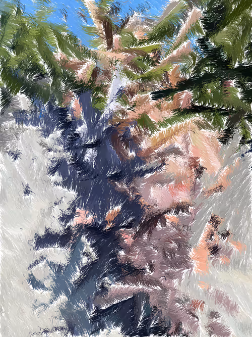 Item #31310848645098346861030005814963531857068613741481674330330247649095074185217 Media