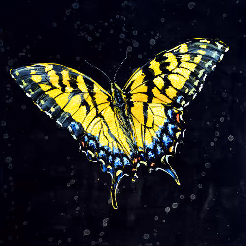 Item #31878015786887625449379653420806268900262982390960709769222713679480046485505 Media