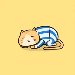 B1 B2 pyjamas #08