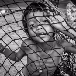 Back of the Net - FOK15