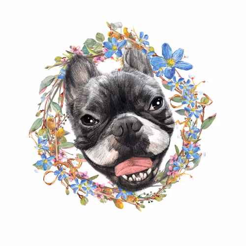 hahahahahahahha Collection