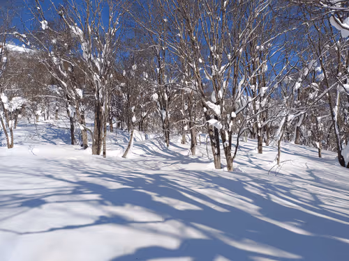 Untitled Collection #284963809 - old - old - old - old - old