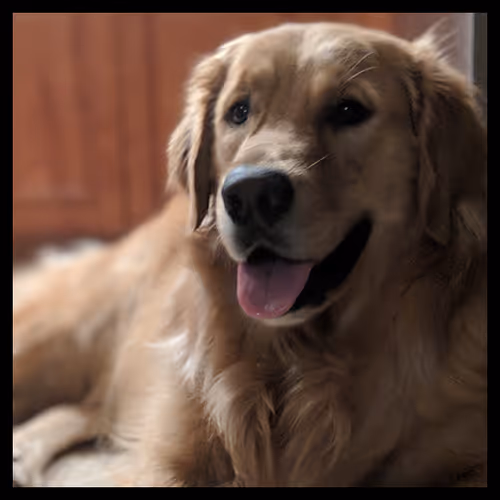 Item #106495276592435919470568425369488009874844936823784433162656833190758616924161 Media