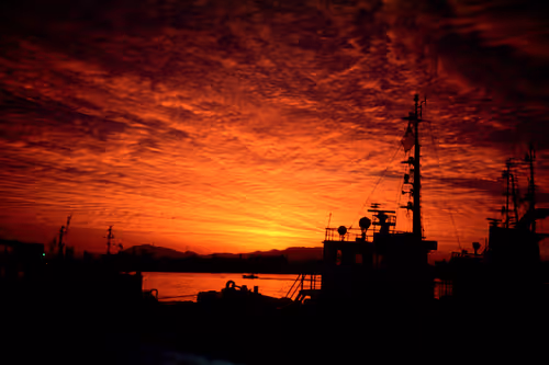 Item #71165997854143450093372358757960361854753460918996014251035868658647049437185 Media