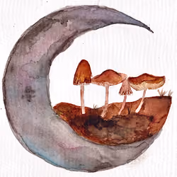 moon magic 
