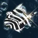 Zebra Fish #03