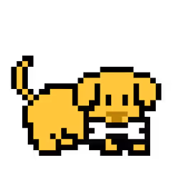 88875166477885110317538810953701536715035021611723491379423631658254919008257