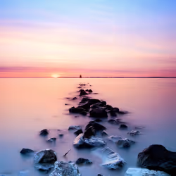paradise 22