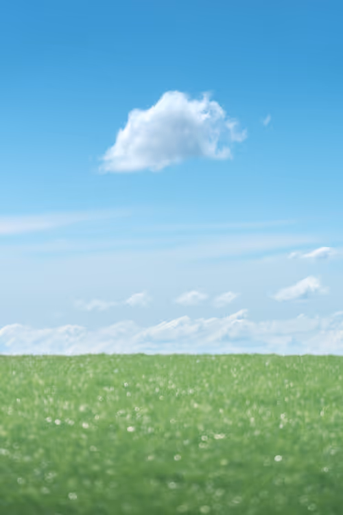 Item #39071023685345521589531013450918722216572370939070752972983331686107249115137 Media