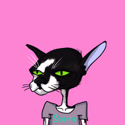 brother cat #17