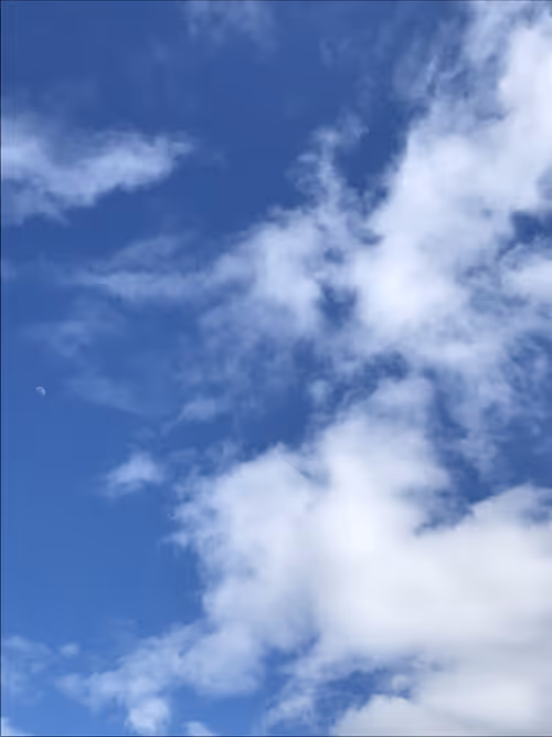 Item #18646559977629649480487143660393314070653216565938883771466586820351616876545 Media