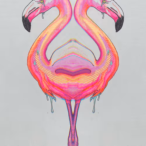 Flamingo Flamboyance