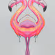 Flamingo Flamboyance