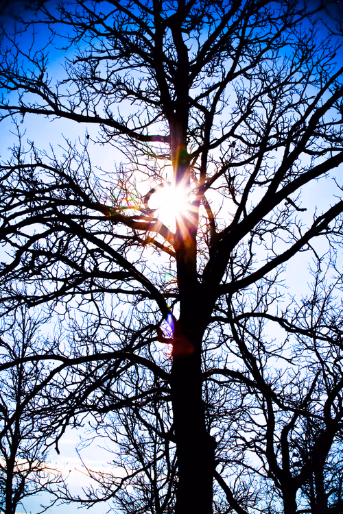 Item #115476091633177707548467332861513074222465969616000108697223131095811336699905 Media