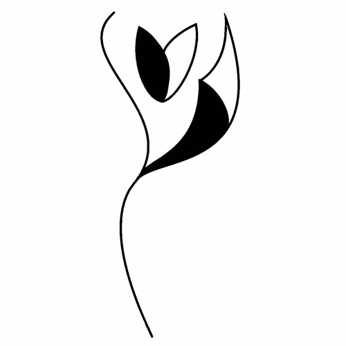 The Sinfool Logo