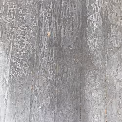 TheFloor #129