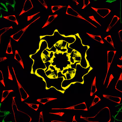 jusTanoTHerFLower
