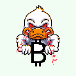 CryptoDuck #2