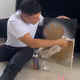 88300017861053094927667926216507848907355760488035614321715508017190559285249