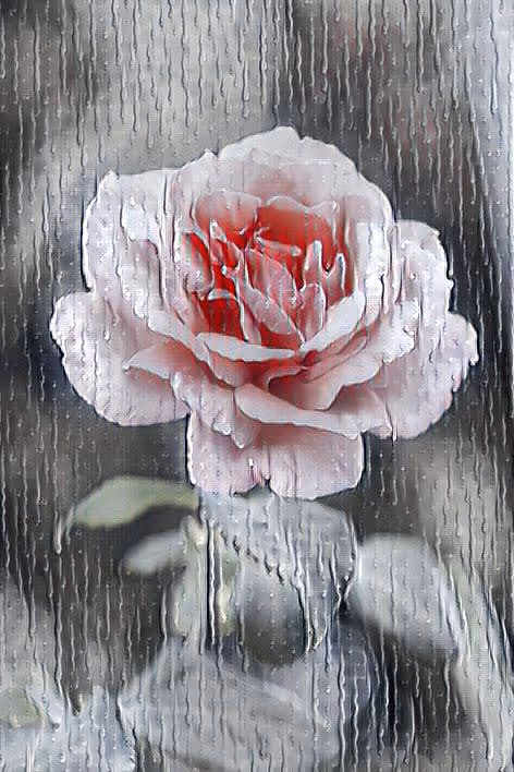 Item #80785096391022360037014554256507056356451539135902571497323311274805430321153 Media