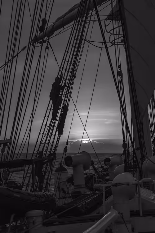 Item #34110083671509346653453586160941404072216291014688644284046702205364233830401 Media