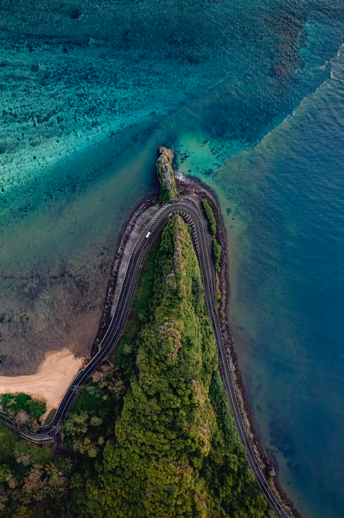 Item #64892573542216553225063327700336004171019867697641980949815581349216794968065 Media