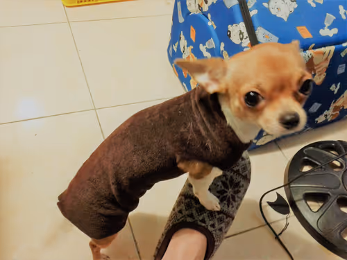 Item #15302775719274355672256911249162138837258661550744590229590932593192457994241 Media