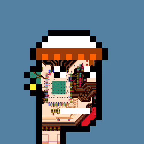 Punkcircuit