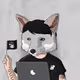 47823194341207597425025954650940207792393154575486114928450163090288564764673