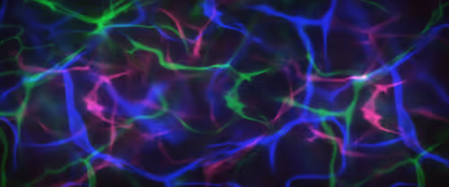 Item #55259479300034346010838520223587021569392250796720661625640964649692470181889 Media