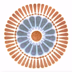 54688137389352509344092767467911615879738143210533731435142059655547836170241