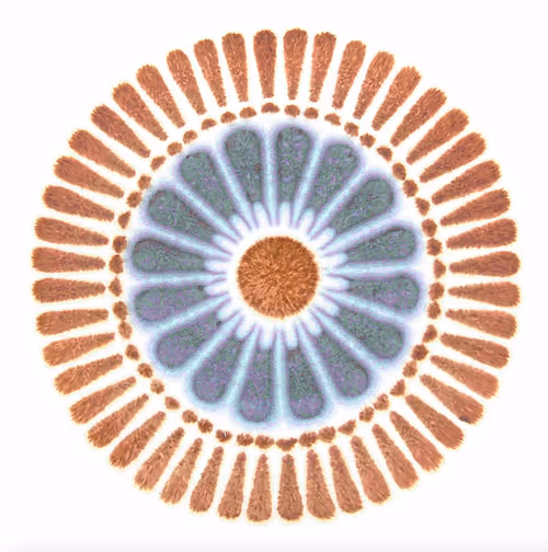 Item #54688137389352509344092767467911615879738143210533731435142059655547836170241 Media