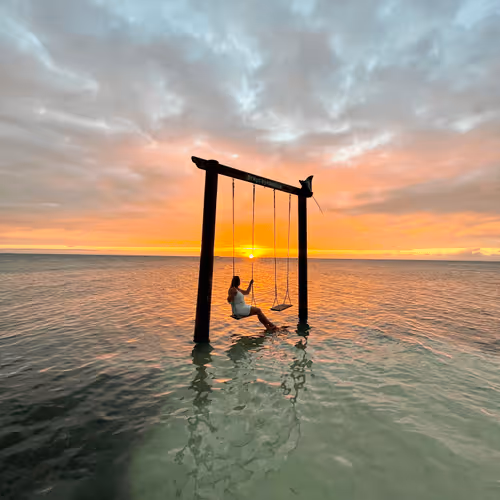 Untitled Collection #86286949