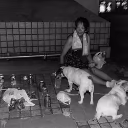 16950785542808756610481714787448321697642502710226455234528331962977836072961