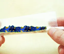 25341286264500723035621473236106555894325910133190681856438129038798366965761