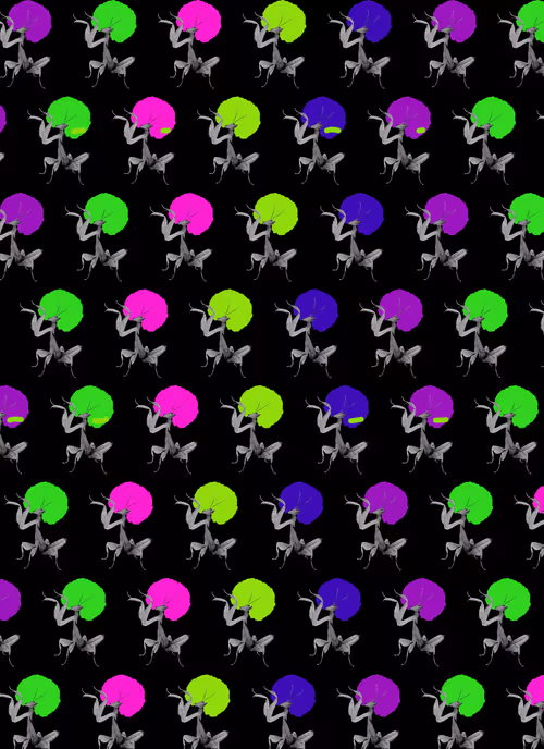 Item #27908044816564347865753271297351036059571754211985863824701783327306271424513 Media