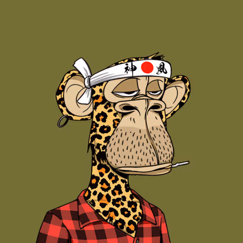 SpicAveli Collection