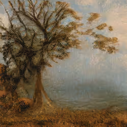 59646423437532031284570622067716692707415987947215942356642751211867387985921