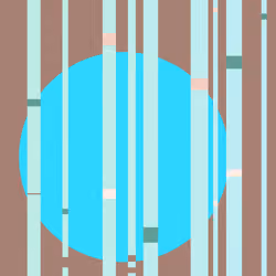 Bamboo Moon 0037